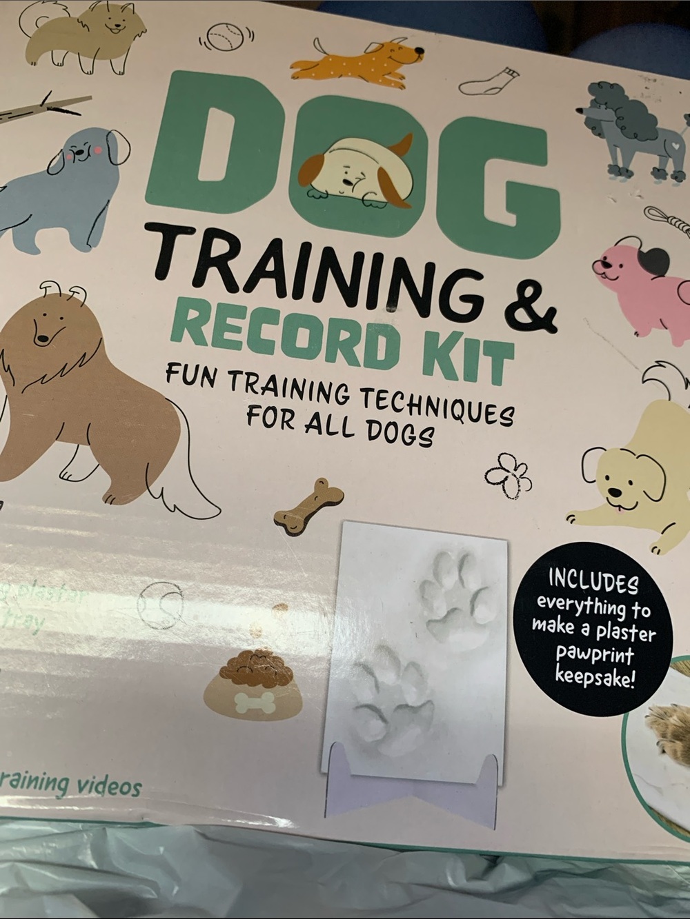 Dog Training & Record Kit - Green
